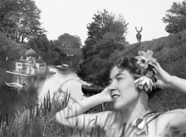 Jane Hammond